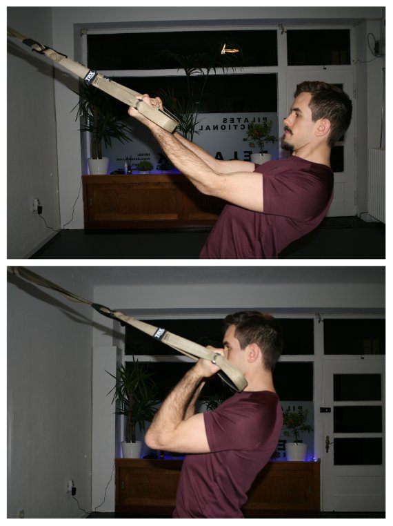 TRX Biceps Curl Die Ausführung eines Biceps Curls mit dem Schlingensystem