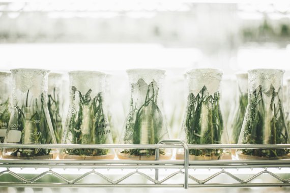 Bio-tech developments pave a water free new future Bio-tech developments pave a water free new future
