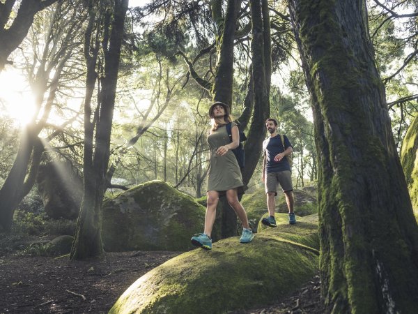 Ein Pärchen wandert durch einen moosbewachsenen Wald.